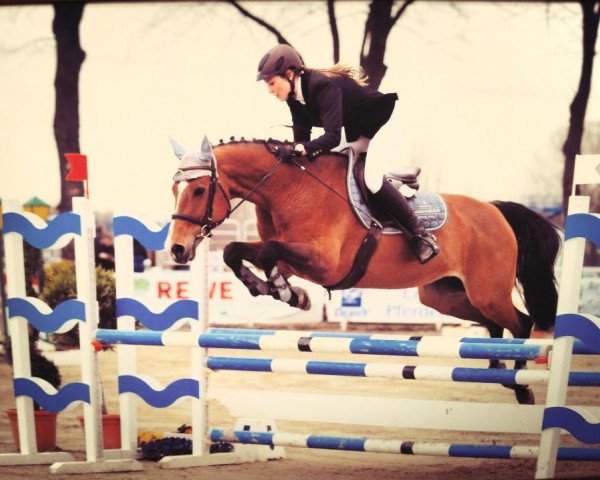 Springpferd Caprice 379 (Württemberger, 1997, von Coleo)