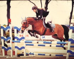jumper Caprice 379 (Württemberger, 1997, from Coleo)