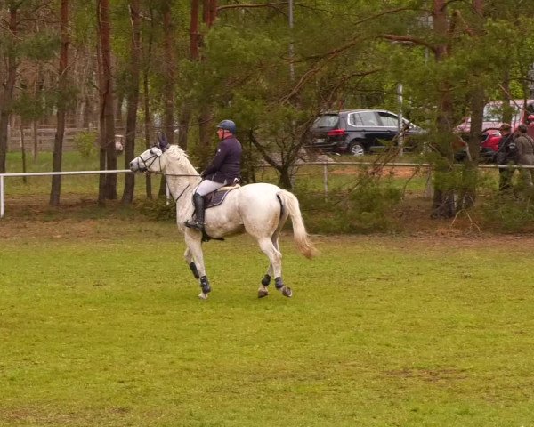 Reitturnier Altbarnim 2022