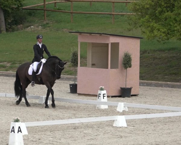 FEI Reitturnier Troisdorf (GER) 2022