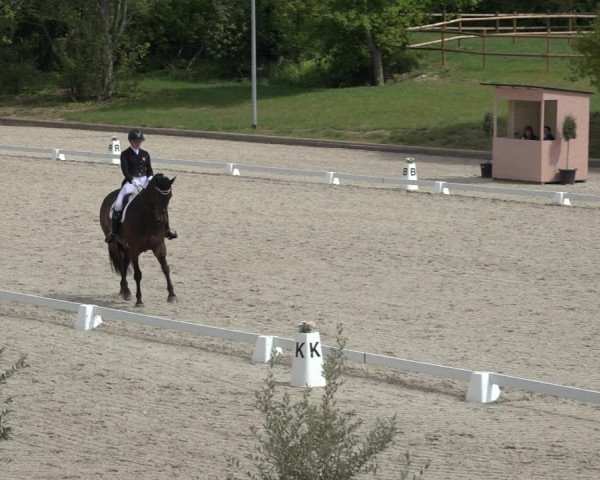FEI Reitturnier Troisdorf (GER) 2022