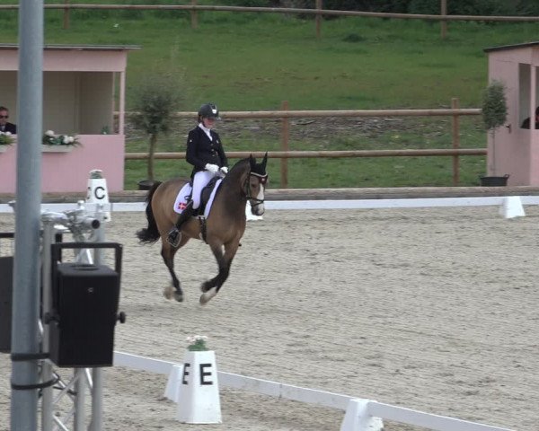FEI Reitturnier Troisdorf (GER) 2022