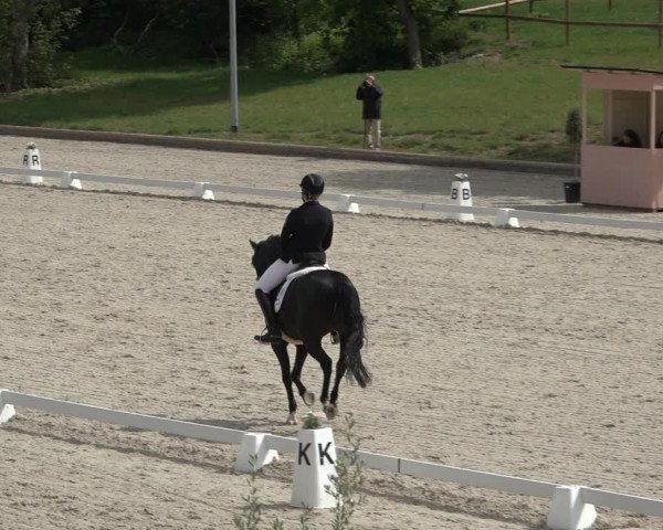 FEI Reitturnier Troisdorf (GER) 2022