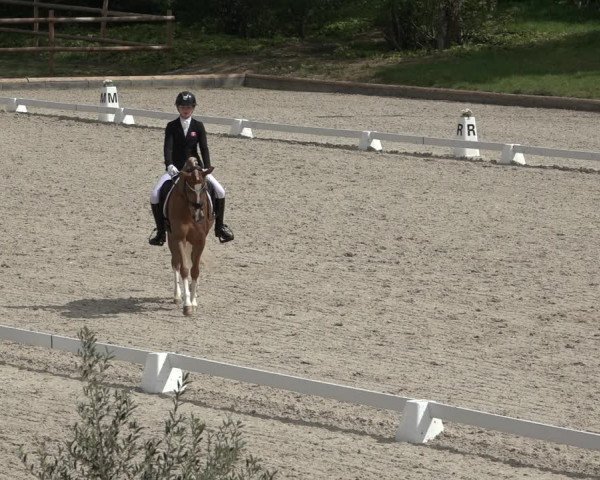 FEI Reitturnier Troisdorf (GER) 2022