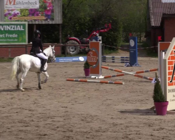 Reitturnier Havixbeck 2022