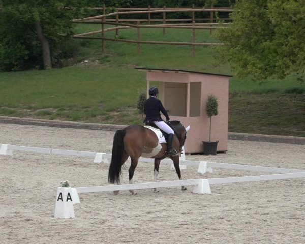 FEI Reitturnier Troisdorf (GER) 2022