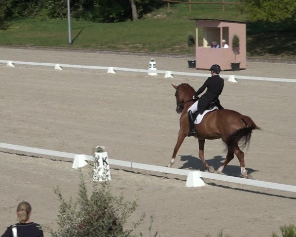 FEI Reitturnier Troisdorf (GER) 2022