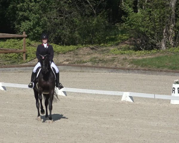 FEI Reitturnier Troisdorf (GER) 2022