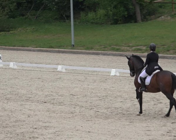 FEI Reitturnier Troisdorf (GER) 2022