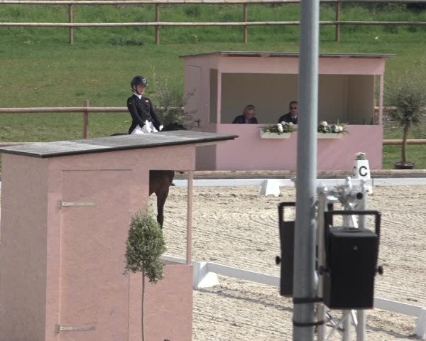 FEI Reitturnier Troisdorf (GER) 2022