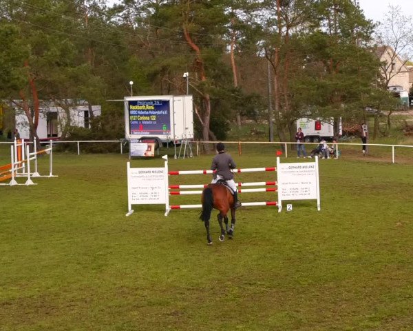Reitturnier Altbarnim 2022