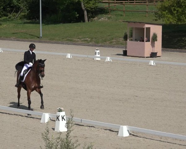FEI Reitturnier Troisdorf (GER) 2022