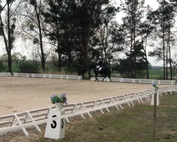 Reitturnier Altbarnim 2022