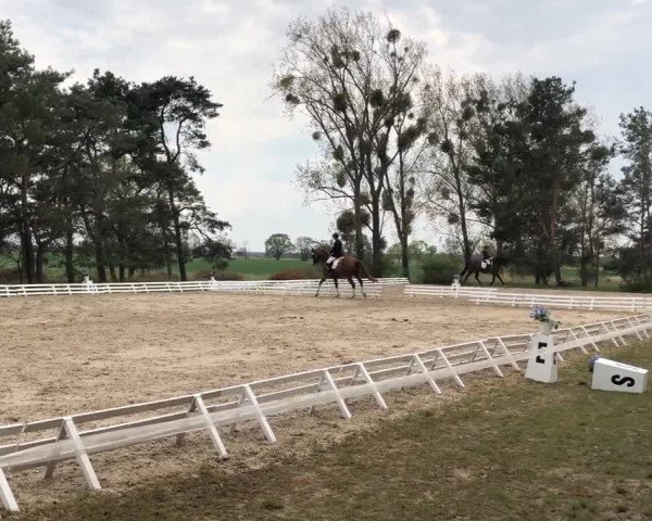 Reitturnier Altbarnim 2022