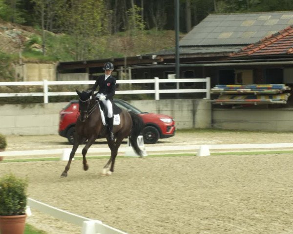 FEI Reitturnier St. Margarethen (AUT) 2022