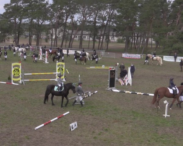 Reitturnier Colbitz 2022