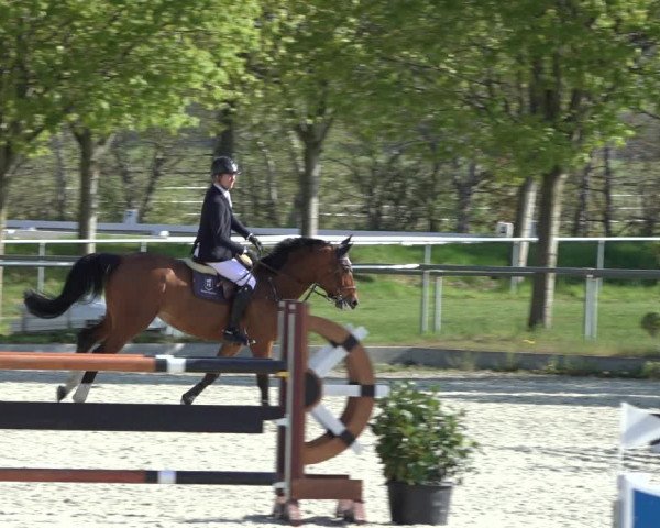Reitturnier Elmlohe 2022