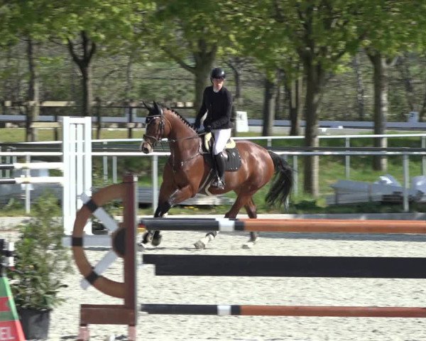 Reitturnier Elmlohe 2022