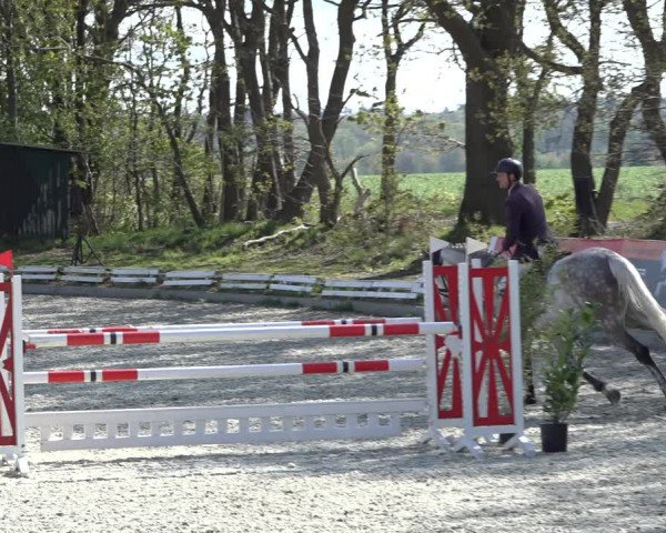 Reitturnier Elmlohe 2022