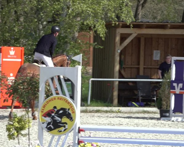 Reitturnier Elmlohe 2022