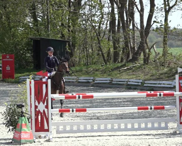 Reitturnier Elmlohe 2022