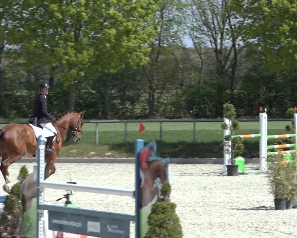 Reitturnier Elmlohe 2022