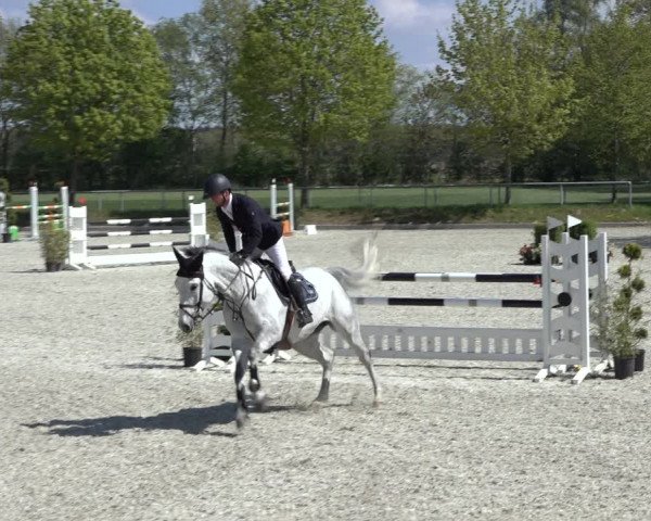Reitturnier Elmlohe 2022