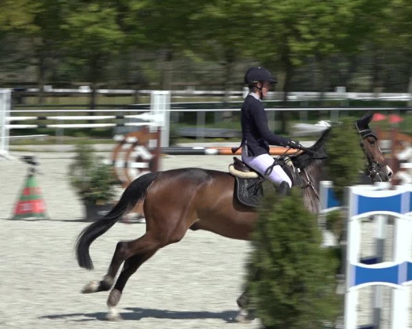 Reitturnier Elmlohe 2022