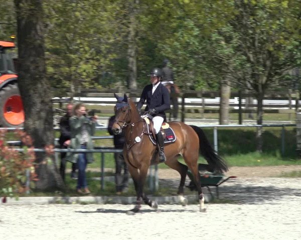 Reitturnier Elmlohe 2022