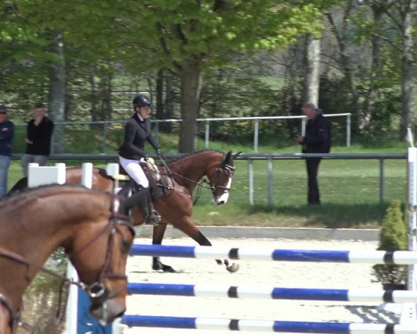 Reitturnier Elmlohe 2022
