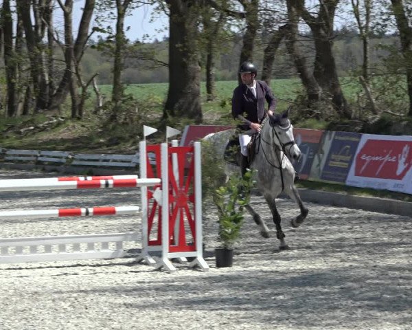 Reitturnier Elmlohe 2022