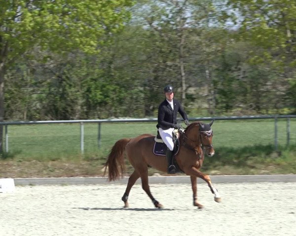Reitturnier Elmlohe 2022