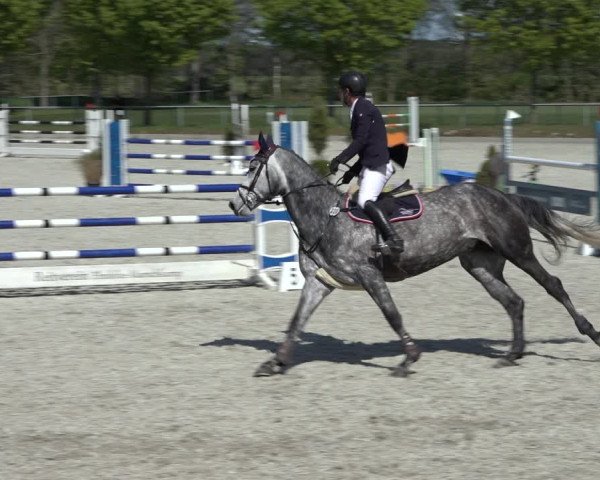 Reitturnier Elmlohe 2022