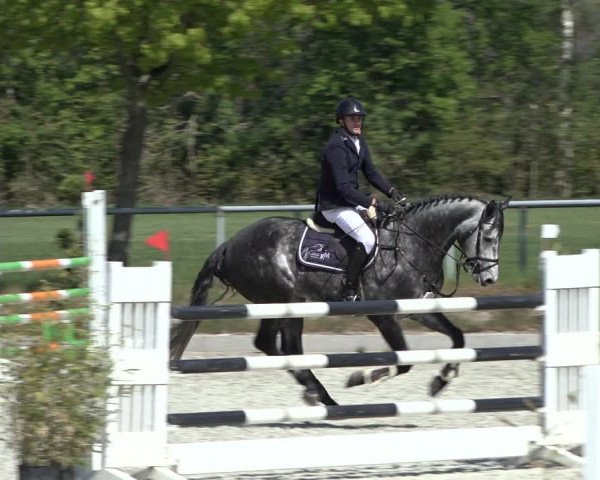 Reitturnier Elmlohe 2022