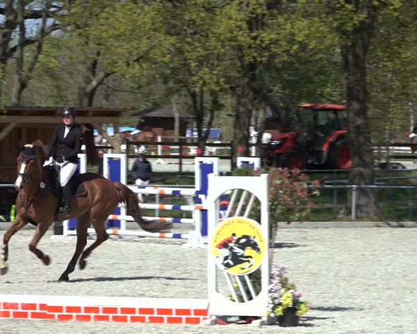 Reitturnier Elmlohe 2022