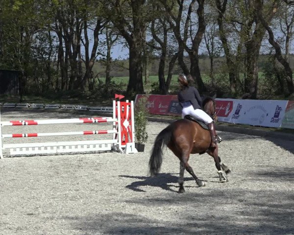 Reitturnier Elmlohe 2022