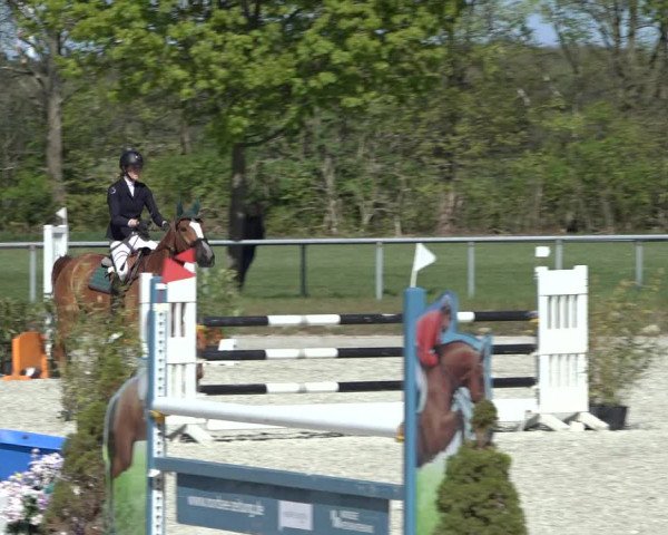 Reitturnier Elmlohe 2022