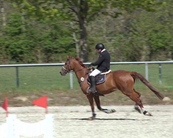 Reitturnier Elmlohe 2022