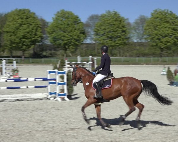 Reitturnier Elmlohe 2022