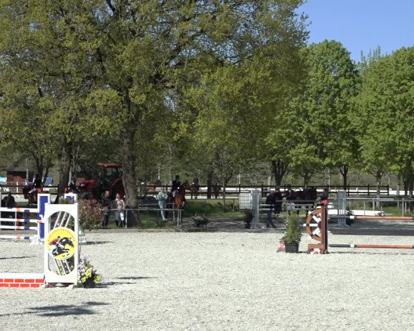 Reitturnier Elmlohe 2022