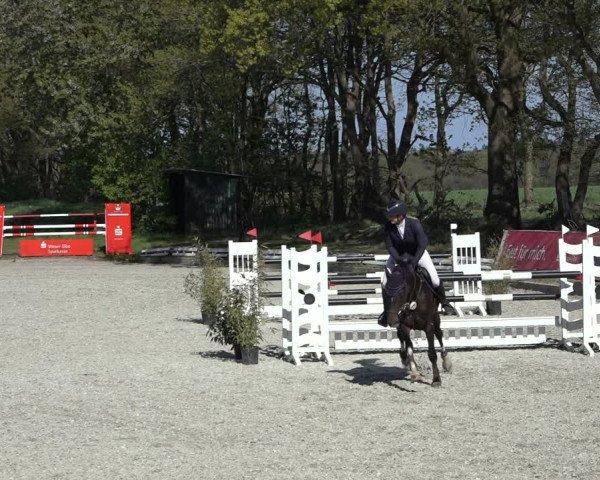 Reitturnier Elmlohe 2022