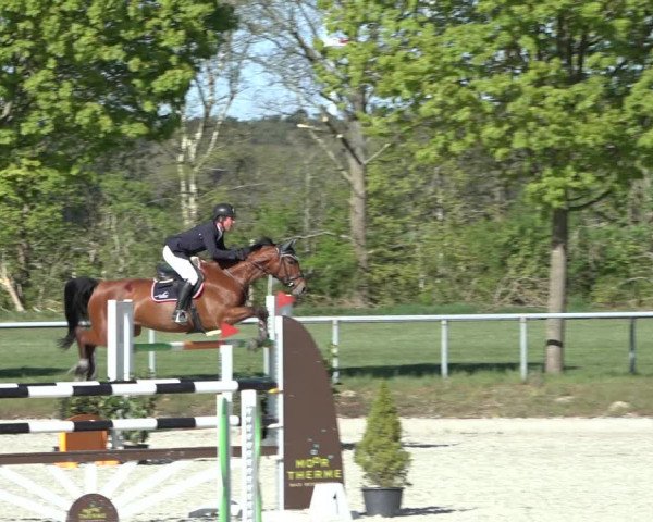 Reitturnier Elmlohe 2022
