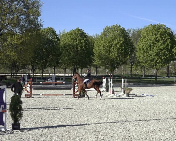 Reitturnier Elmlohe 2022