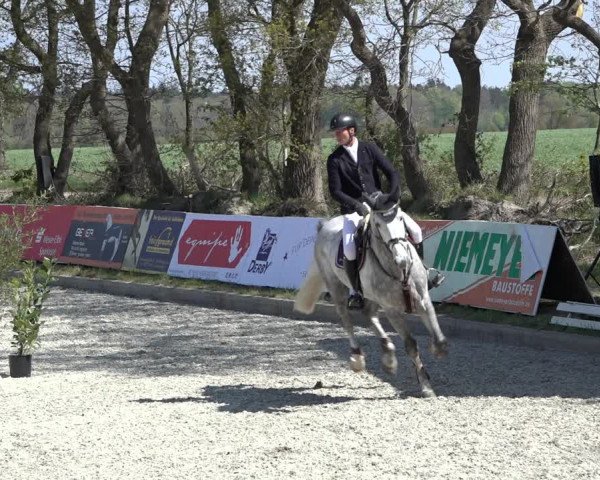 Reitturnier Elmlohe 2022