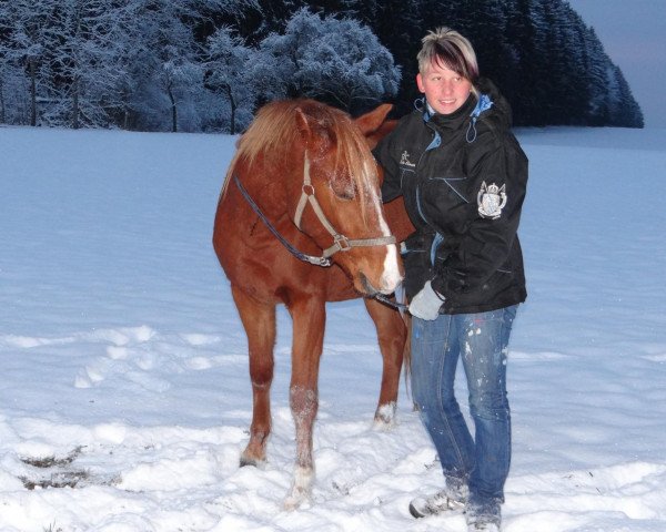 dressage horse Happy Dream (German Riding Pony, 2010, from Happy Boy)