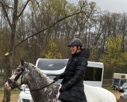 Springpferd El Soñador (Appaloosa, 2014)