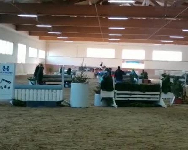 Video von Anca 15
