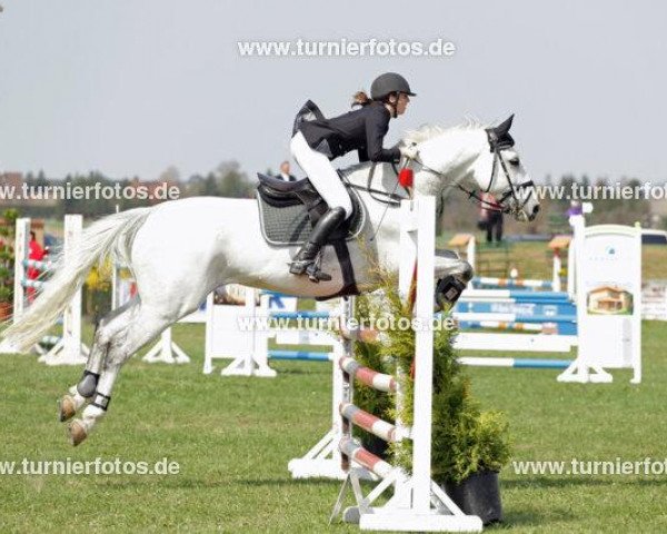 jumper Carlito B (Zweibrücken, 2002, from Cesano II)