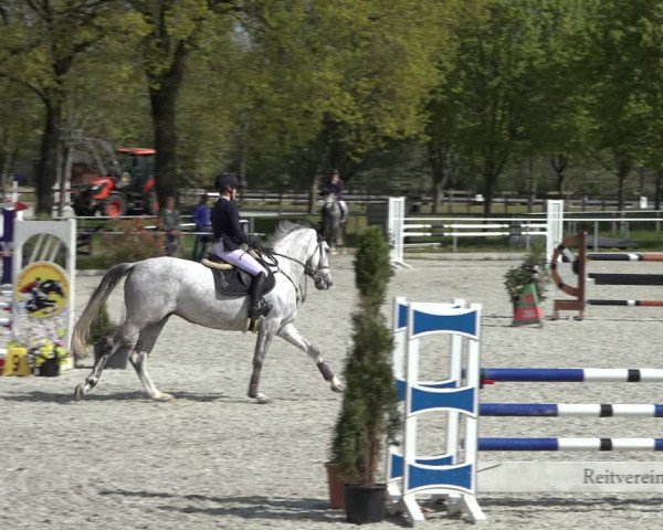 Reitturnier Elmlohe 2022