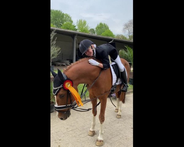 Video of het Askaban